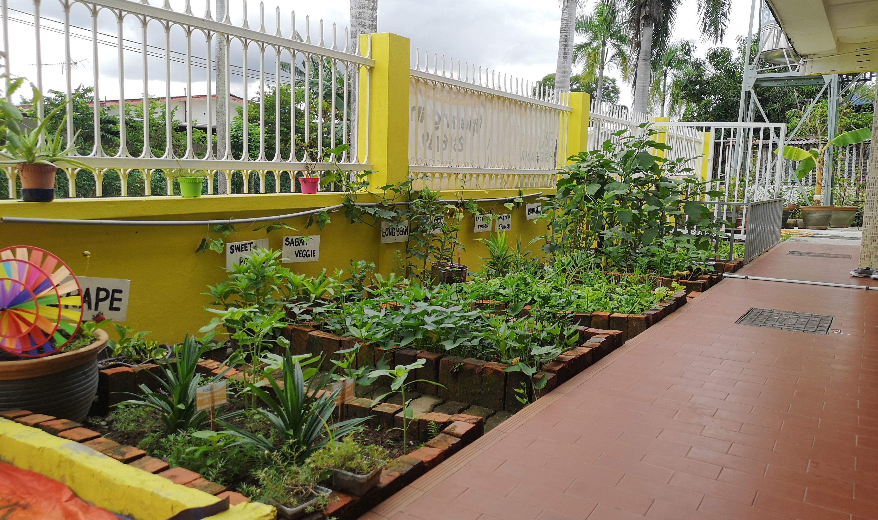 garden environment at Eduwis best preschool in Kota Kinabalu
